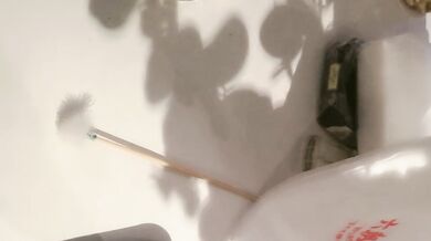 【91约妹达人】泡良大神，万花从中过未流出完整版，谈人生聊感情，推倒插穴更深入的交流 (1)